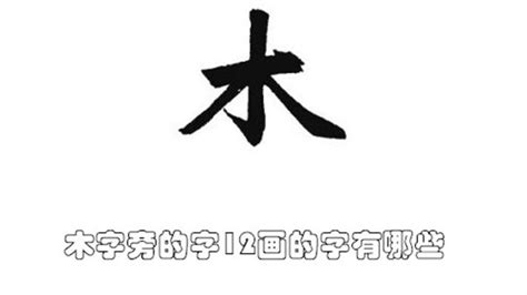 12画的字|12画的字有哪些